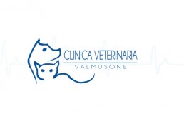 clinica-veterinaria-valmusone