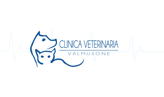 clinica-veterinaria-valmusone